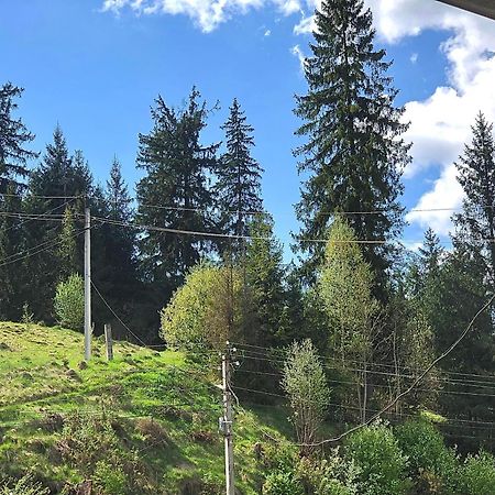 Садиба "Яна" Slavske Luaran gambar